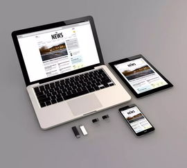 承德網(wǎng)站建設(shè) 為何必須選擇專業(yè)的軟硬件與網(wǎng)絡(luò)技術(shù)開(kāi)發(fā)公司