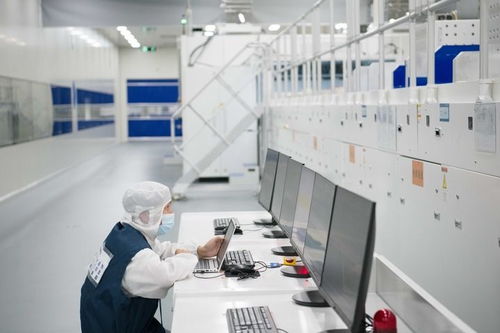 中國經濟樣本觀察 企業樣本篇 追光逐新 光伏獨角獸華晟新能源的成長故事