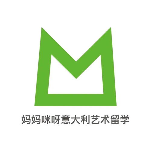 m翻譯版 都靈理工大學(xué)2020國(guó)際生 2021計(jì)劃生招生人數(shù)出爐,他來(lái)了